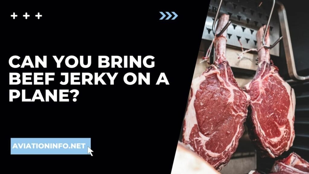 Can You Bring Beef Jerky On A Plane? Avoiding Issues 101 [in 2024