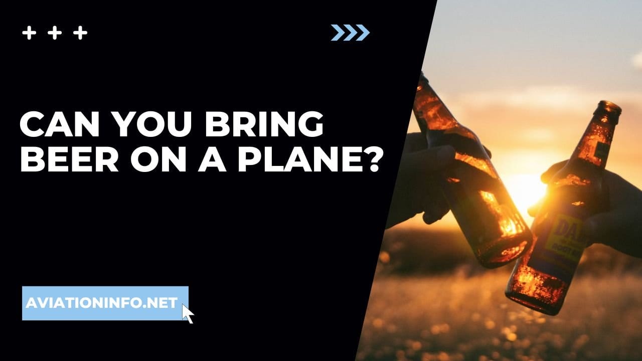Can You Bring Beer On A Plane? Avoiding Issues 101 [in 2024] Aviation