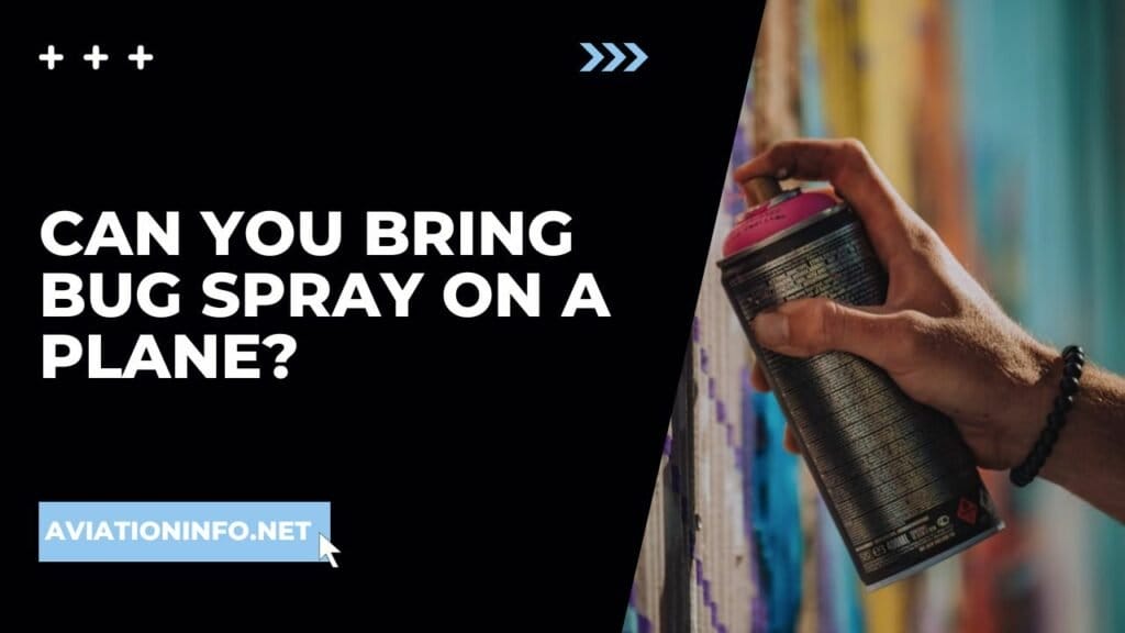 Can You Bring Bug Spray On A Plane? Avoiding Issues 101 [in 2024] Aviation Info
