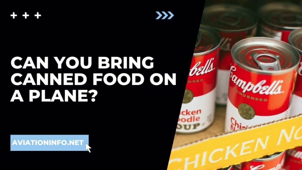 can-you-bring-canned-food-on-a-plane-avoiding-issues-101-in-2024