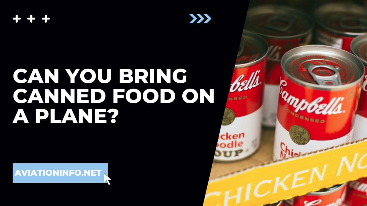 Can You Bring Canned Food On A Plane? Avoiding Issues 101 [in 2024