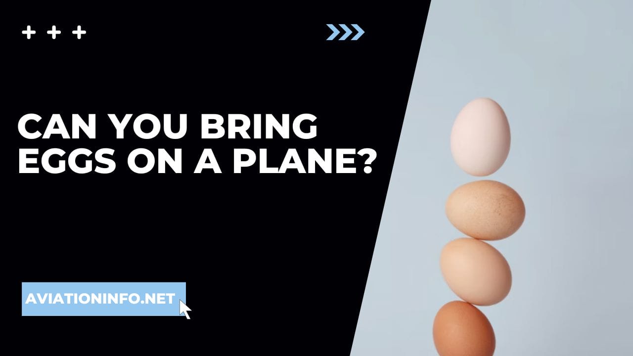 Can You Bring Eggs On A Plane