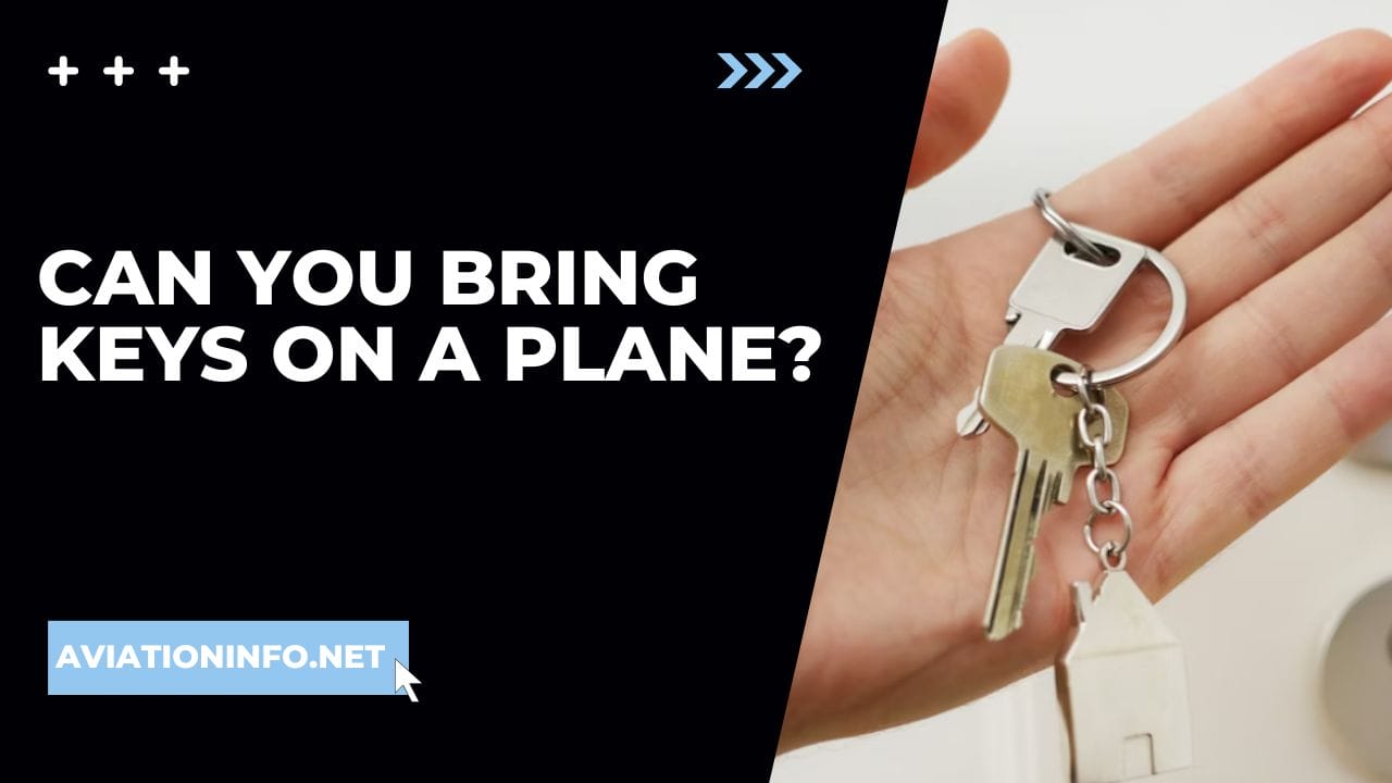 Can You Bring Delta 8 On A Plane Can You Bring Keys On A Plane - Aviation Info