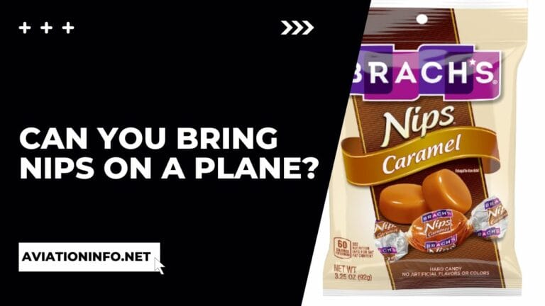 Can You Bring Nips On A Plane