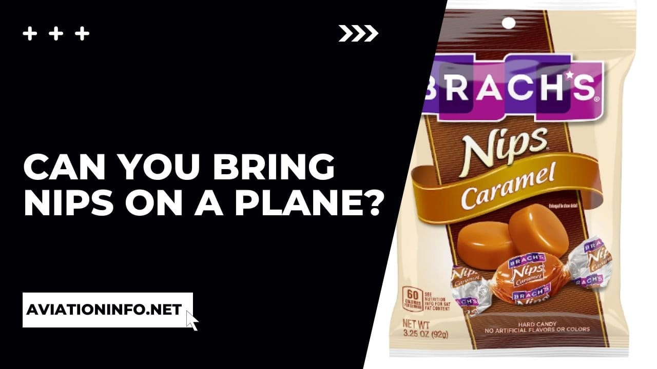 Can You Bring Nips On A Plane? Avoiding Issues 101 [in 2024] Aviation Info