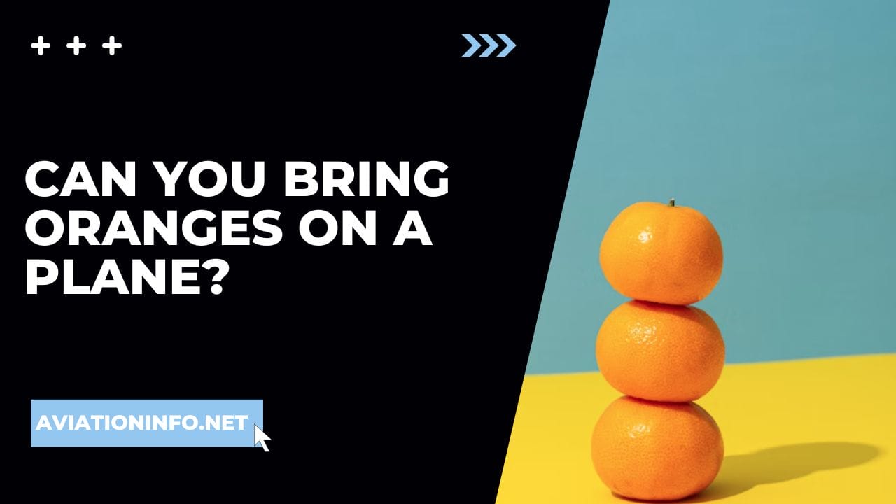 can-you-bring-oranges-on-a-plane-aviation-info