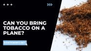 Can You Bring Tobacco On A Plane Avoiding Issues 101 in 2024 